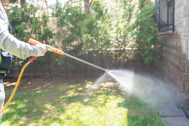 Lawn Pest Control in Russell, KY